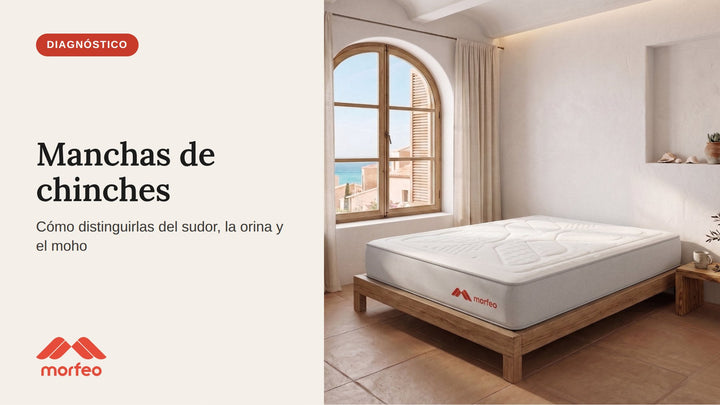 Colchón Morfeo sin sábanas en un dormitorio luminoso, listo para revisar manchas