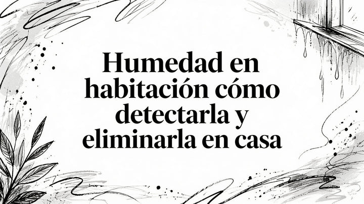 Humedad en la habitación: cómo detectarla y eliminarla