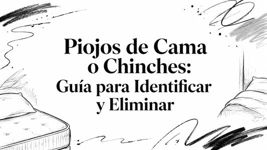 Piojos de Cama o Chinches: Guía para Identificar y Eliminar