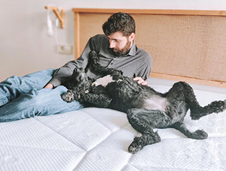 Guía definitiva de encontrar el mejor colchón para comprar