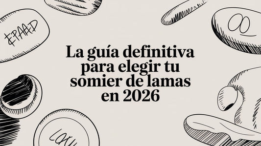 La guía definitiva para elegir tu somier de lamas en 2026