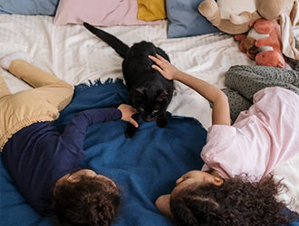 how to choose a mattress for overweight people