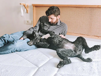 Unveiling the secret to productivity: The impact of sleep on your working life