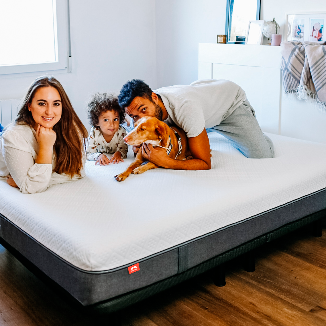 Morfeo Lite Mattress - Morfeo Mattress